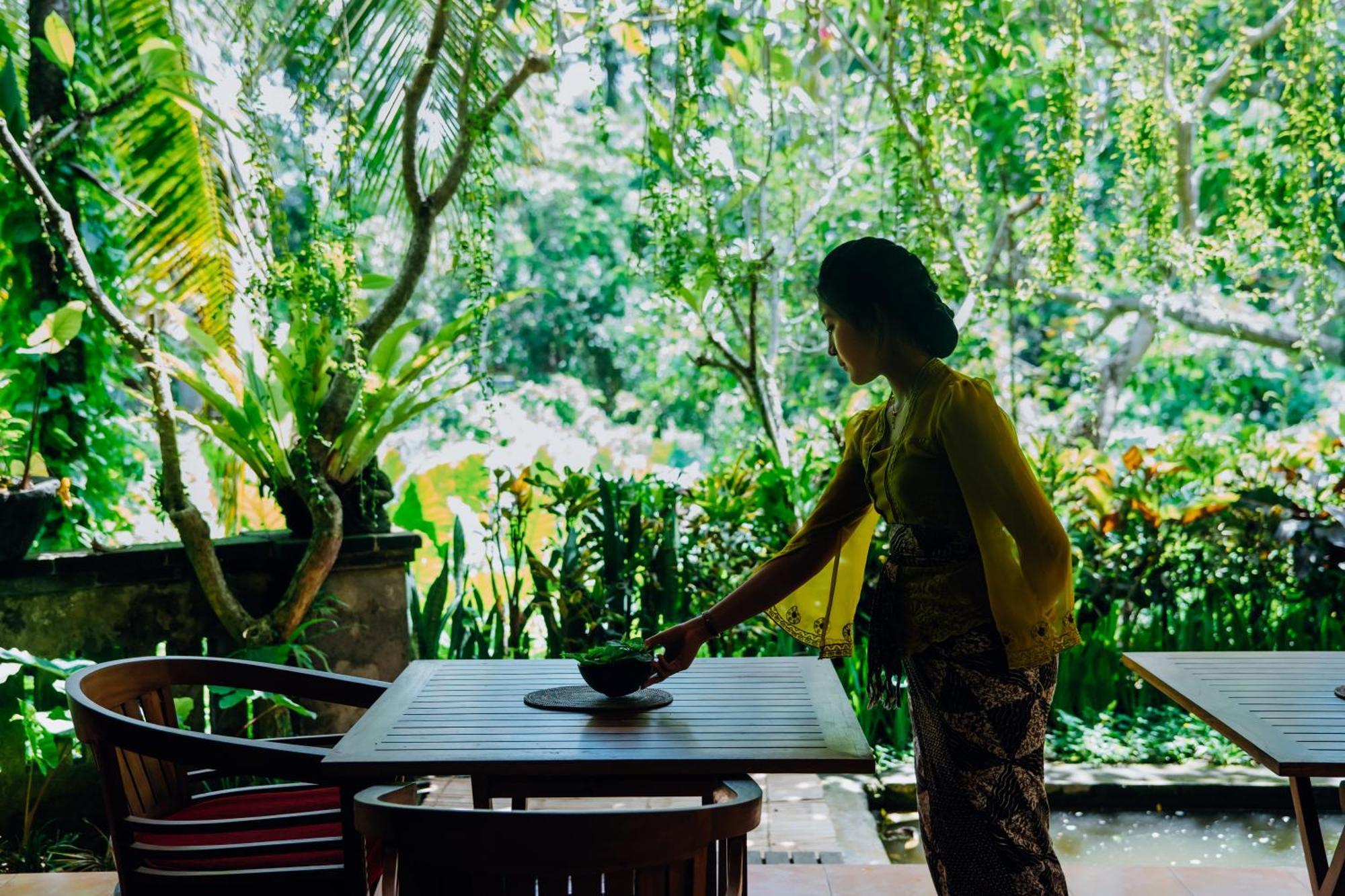Jati Home Stay Ubud Dış mekan fotoğraf