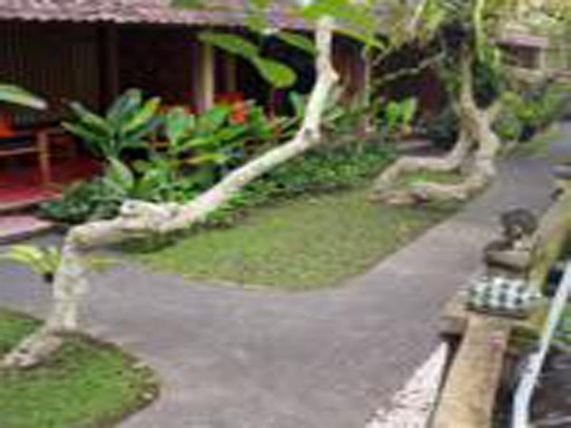 Jati Home Stay Ubud Dış mekan fotoğraf
